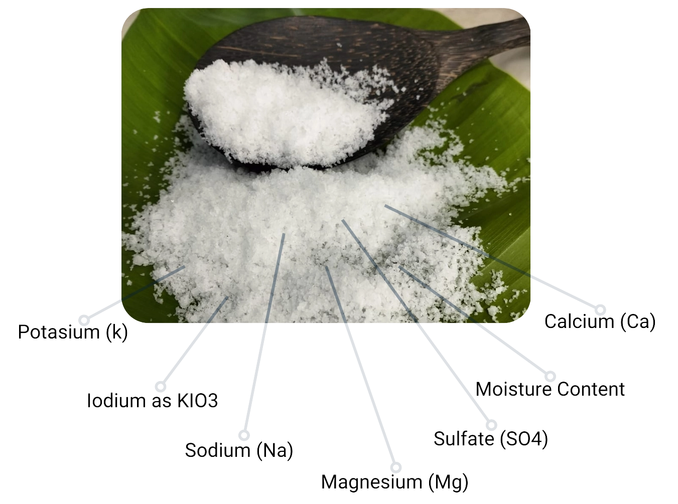 Nutrition fact & Other lab test pemuteran salt